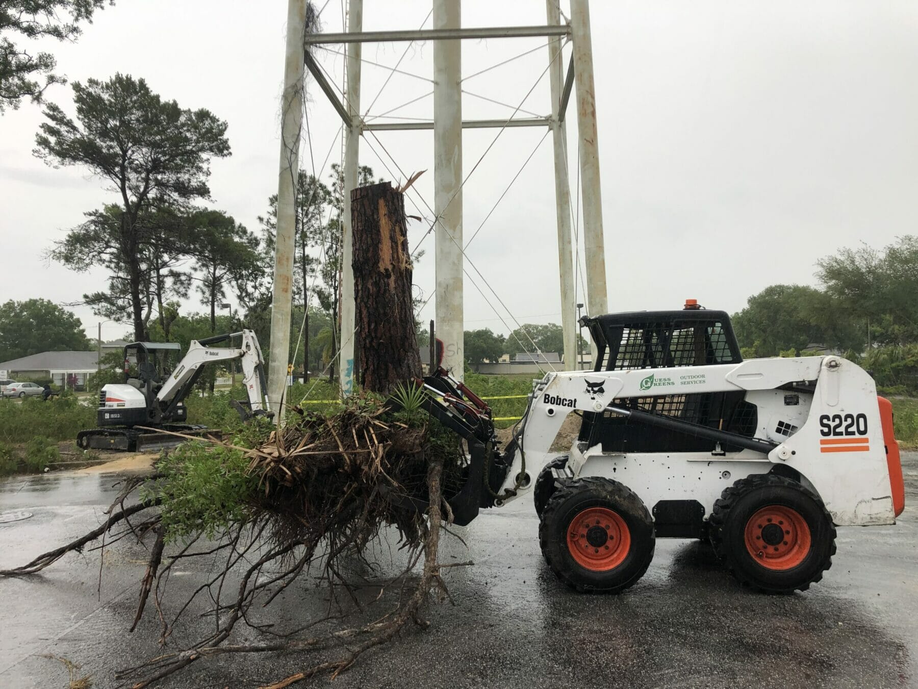 Bobcat removing a large tree stump