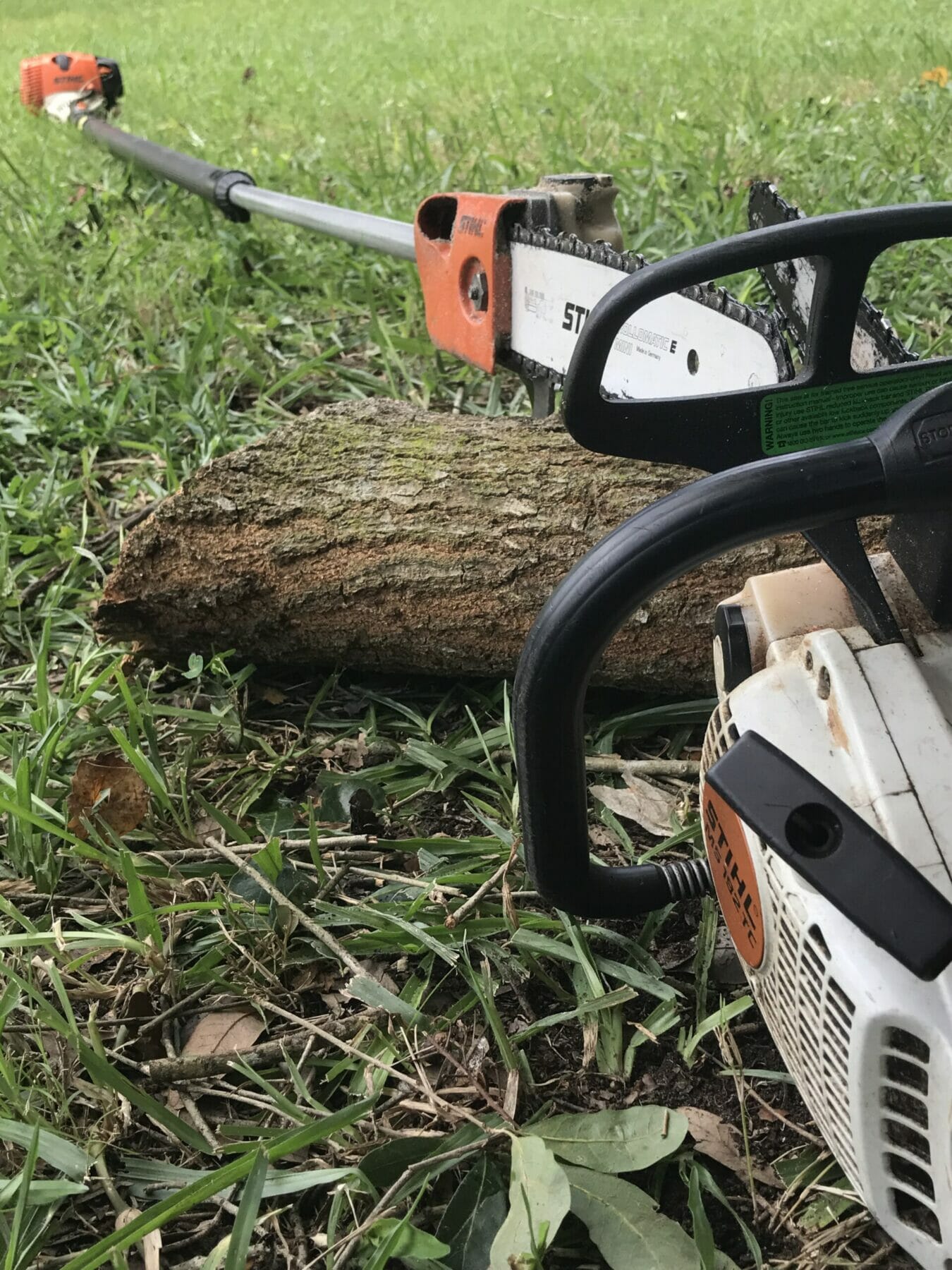 Tree Removal